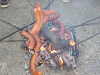 Obecní úřad Časy