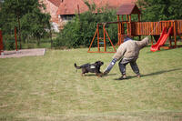 Obecní úřad Časy