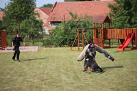 Obecní úřad Časy