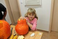 Obecní úřad Časy