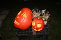 Obecní úřad Časy