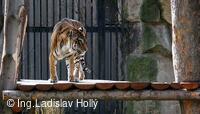 ZOO Praha